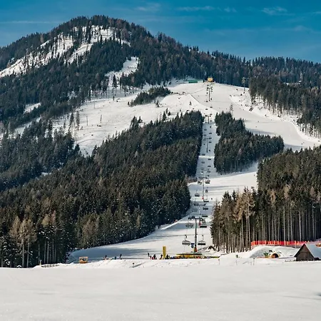 - Kleine Bleiberger By Schladmingurlaub דירה *