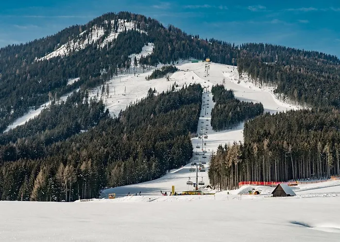 - Kleine Bleiberger By Schladmingurlaub Апартаменты *